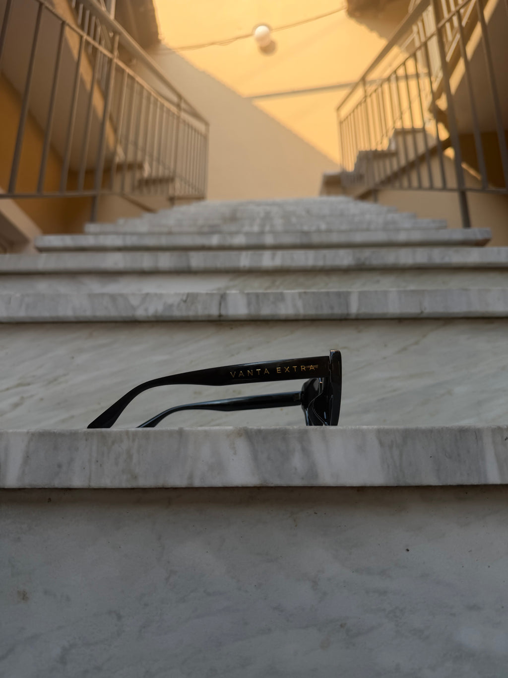 FELINE — The Signature Frame