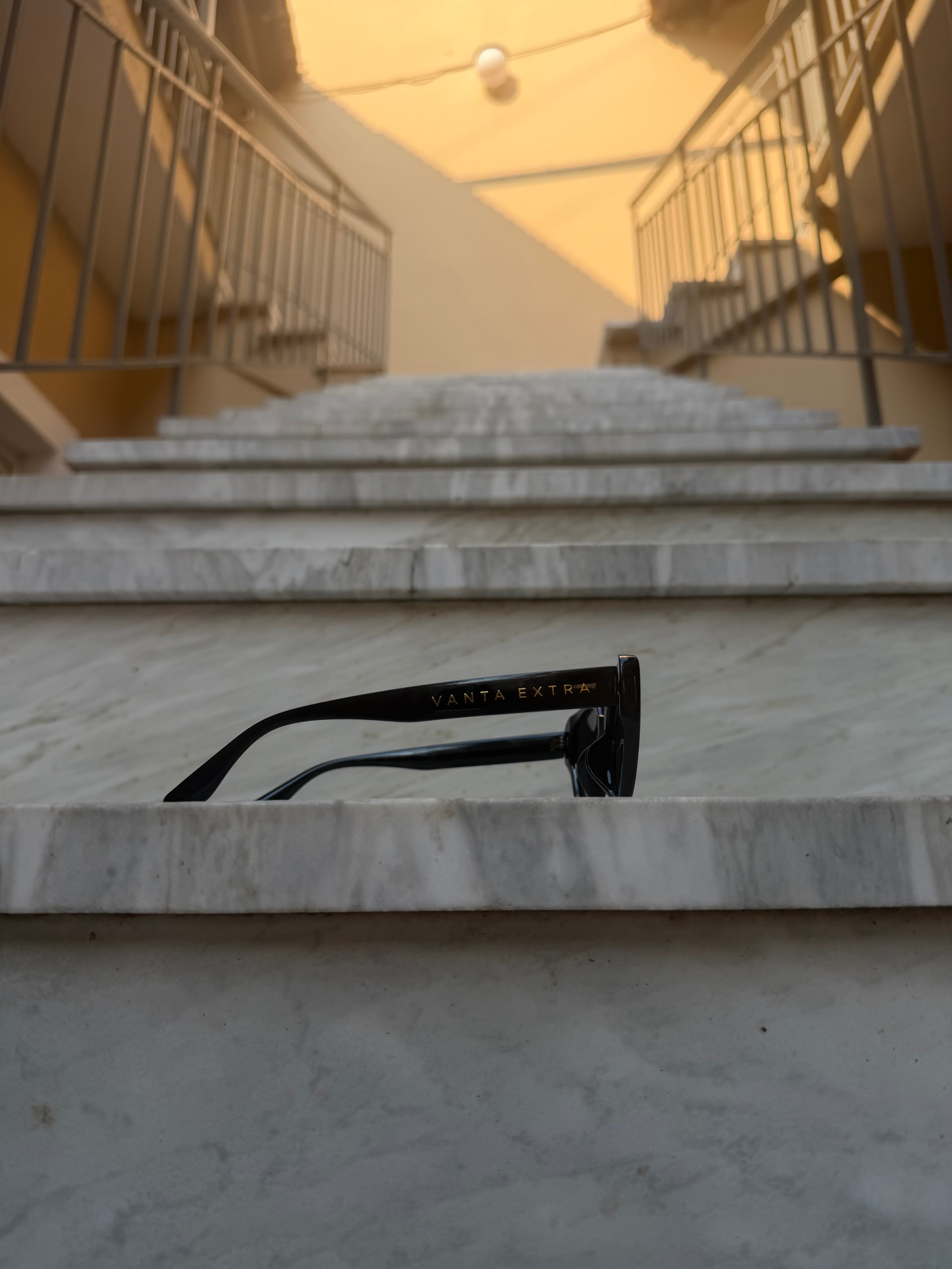 FELINE — The Signature Frame